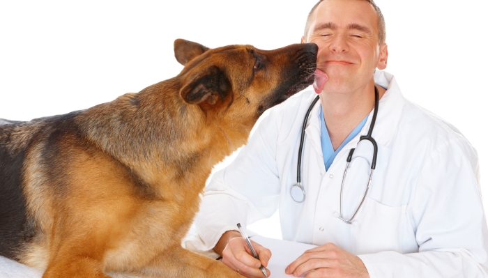 Ветеринарный врач в Германии