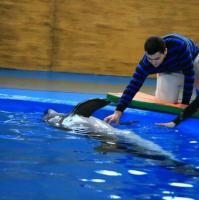 Hallo, ich suche einen Job in Deutschland - 3