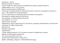 Моляр/штукатур